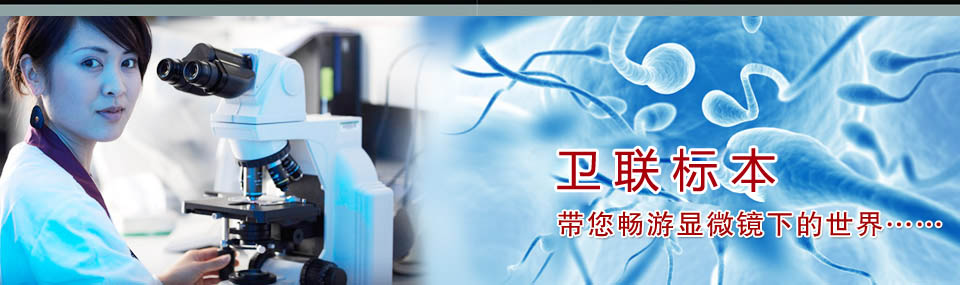 沅江市衛教試驗用品有限公司